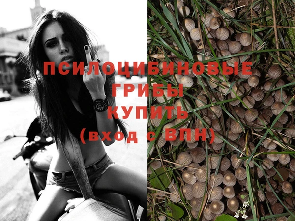 а пвп мука Осташков