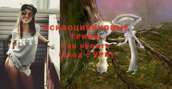 а пвп мука Осташков