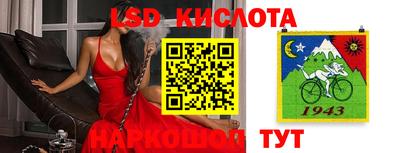стаф Канаш