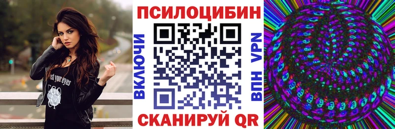 купить закладку  Аксай  Галлюциногенные грибы Cubensis 
